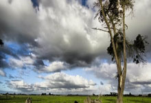 更多信息来了！一汽奥迪全新A5L完成申报，至少2种动力+6款轮辋