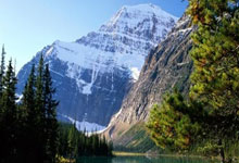 中控屏排行榜：新势力们卷了半天，能上榜的没几个？